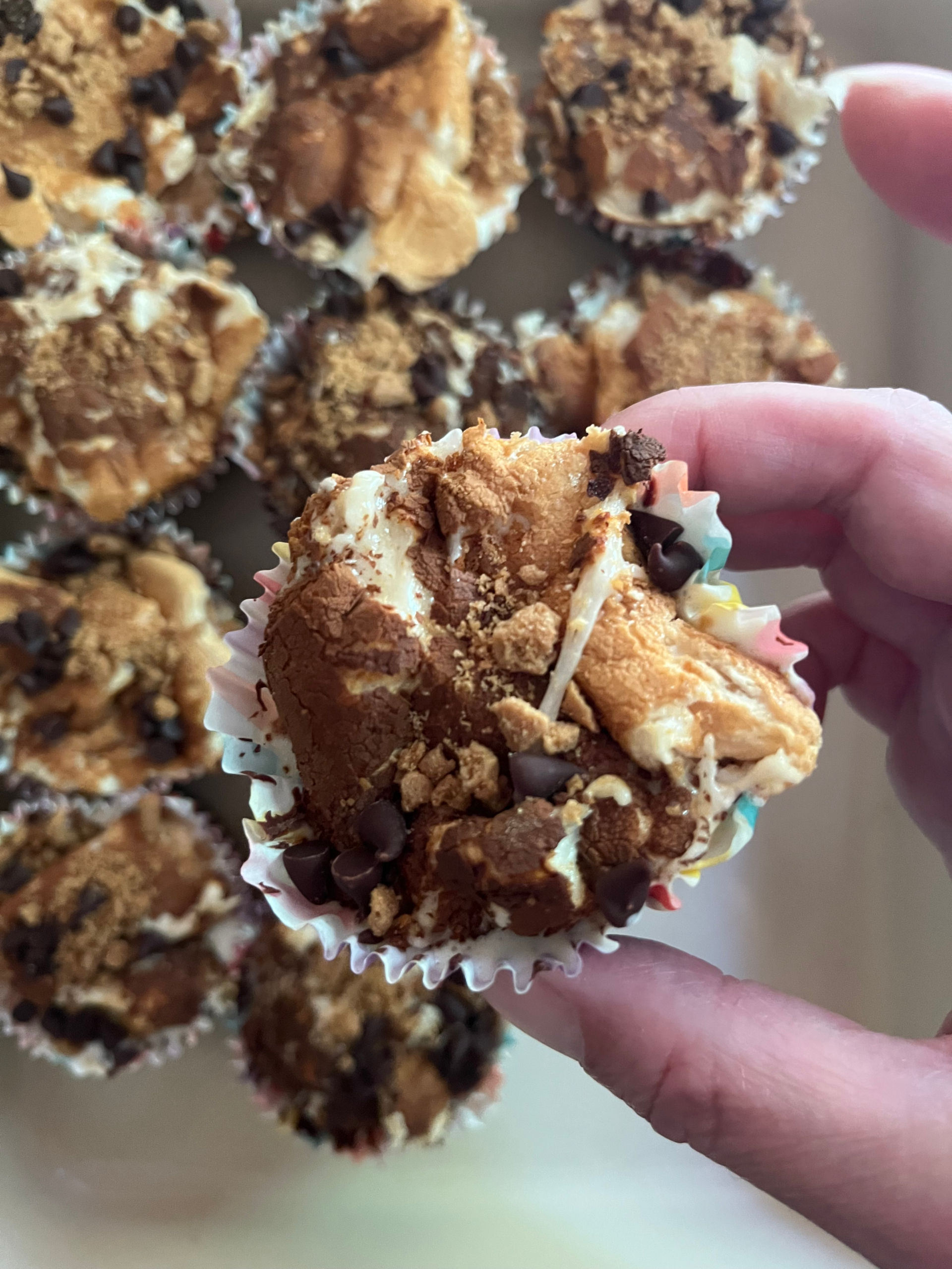 s’mores ice cream cups
